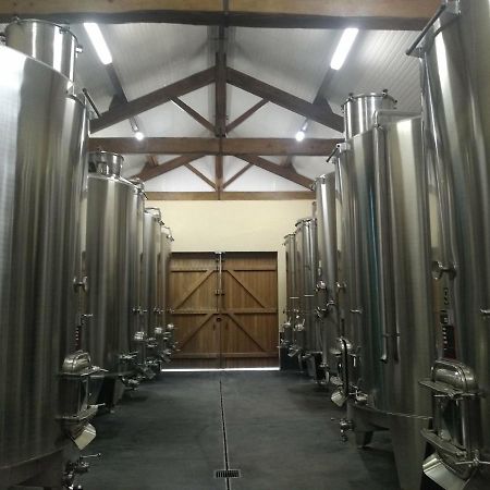 奥特男爵城堡酒店 圣埃斯泰夫 外观 照片