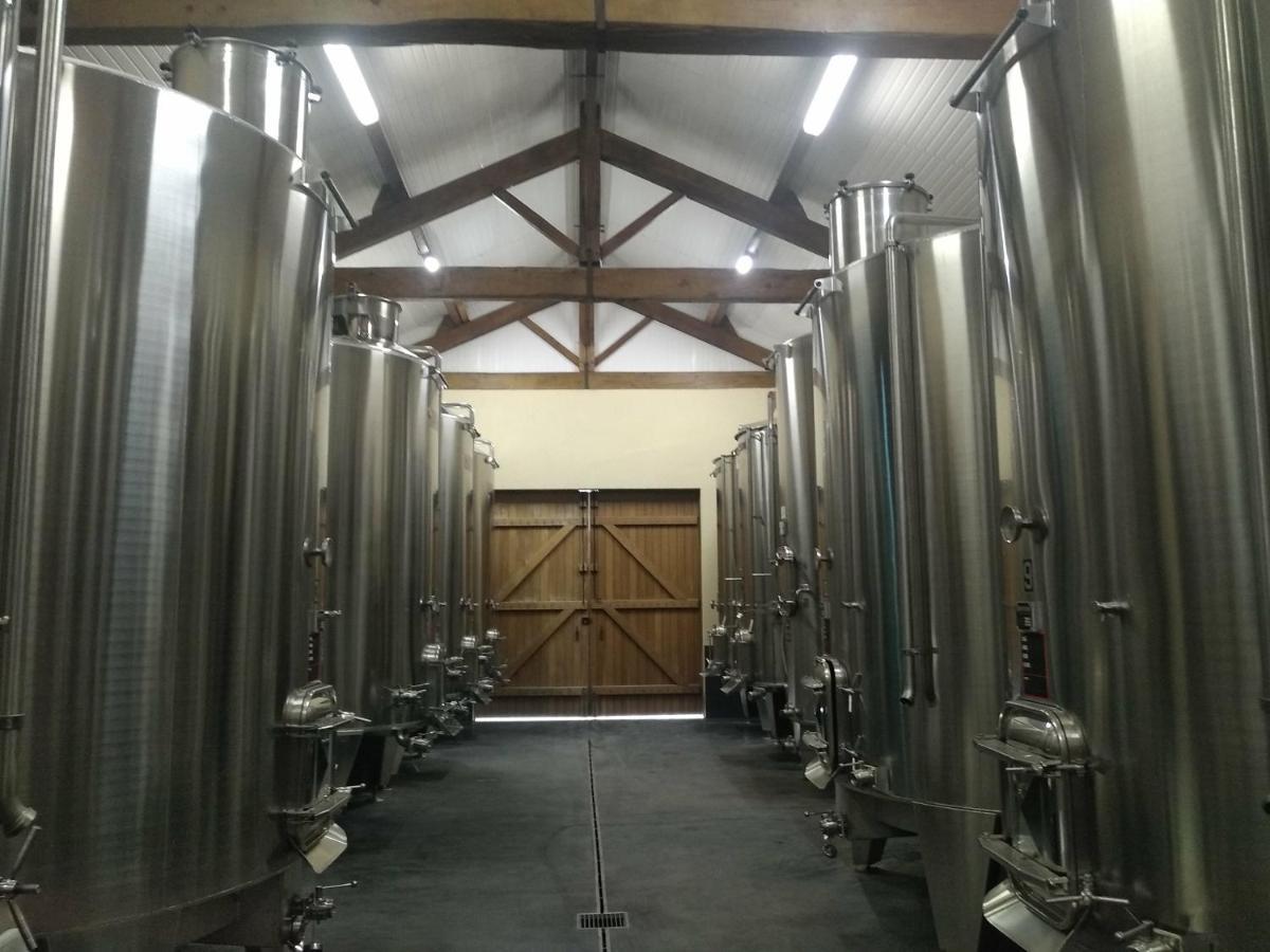 奥特男爵城堡酒店 圣埃斯泰夫 外观 照片